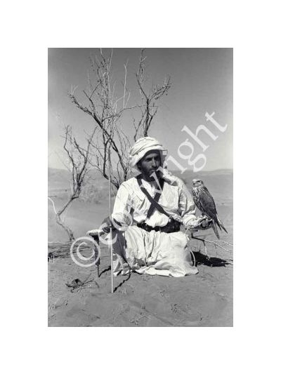 Sheikh Zayed Bin Sultan Al Nahyan