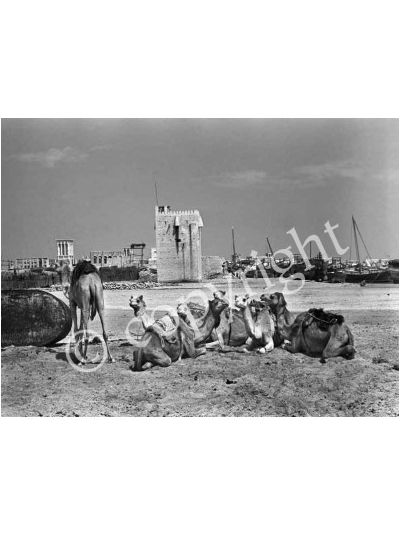 The Shindagha Area In The Old Days