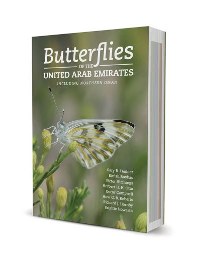 Butterflies of the United Arab Emirates Including Northern Oman