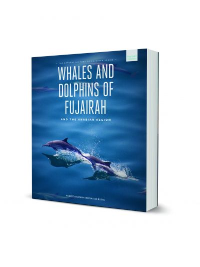 Whales and Dolphins of Fujairah