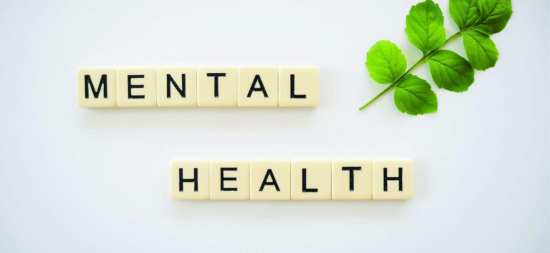 Ten Best Books on Mental Health